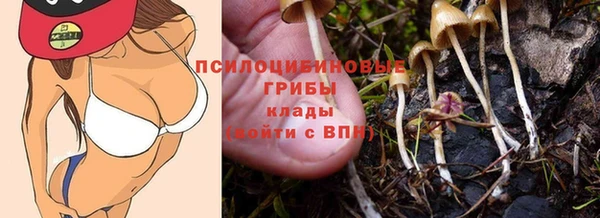 мескалин Балахна
